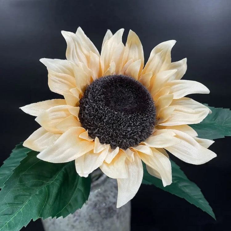 🎁2025 Hot Sale☀️Vintage Large Silk Sunflowers Seeds🌻