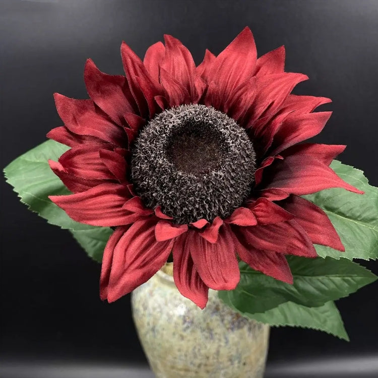 🎁2025 Hot Sale☀️Vintage Large Silk Sunflowers Seeds🌻