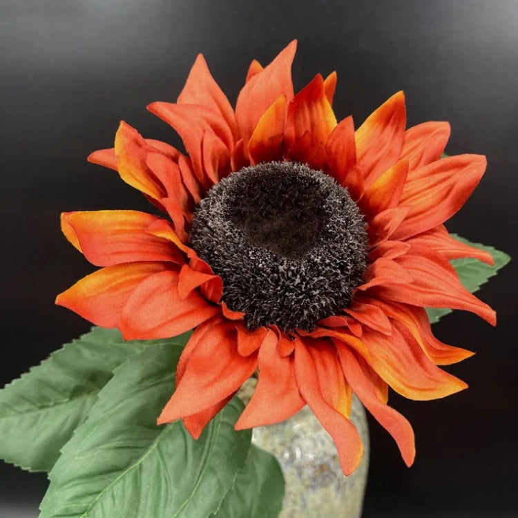 🎁2025 Hot Sale☀️Vintage Large Silk Sunflowers Seeds🌻