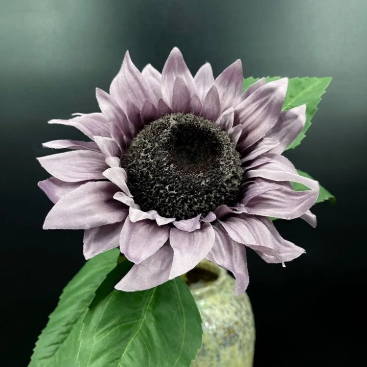 🎁2025 Hot Sale☀️Vintage Large Silk Sunflowers Seeds🌻