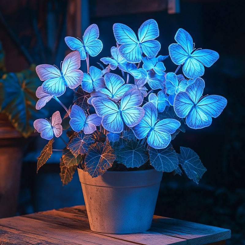 Moonlight Butterfly Begonia - Blue Neon