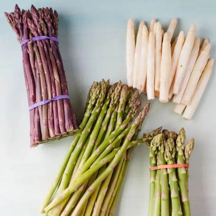 Four Seasons Asparagus Mary Washington Seeds