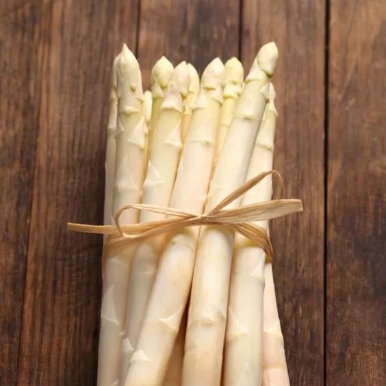 Four Seasons Asparagus Mary Washington Seeds