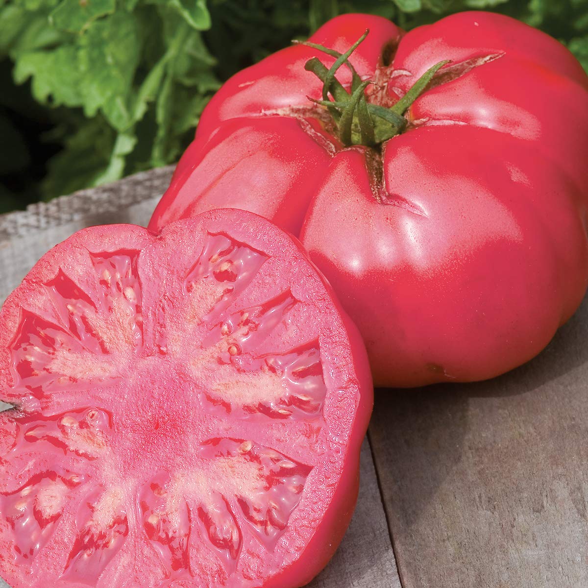 SteakHouse Hybrid Non-GMO Large Beefsteak Garden Produces Giant 3 LB Fresh Tomato Seeds