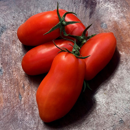 🍅💥San Marzano Tomato Seeds - A reference of Italian dishes