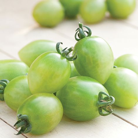 Green Envy Tomato Seeds