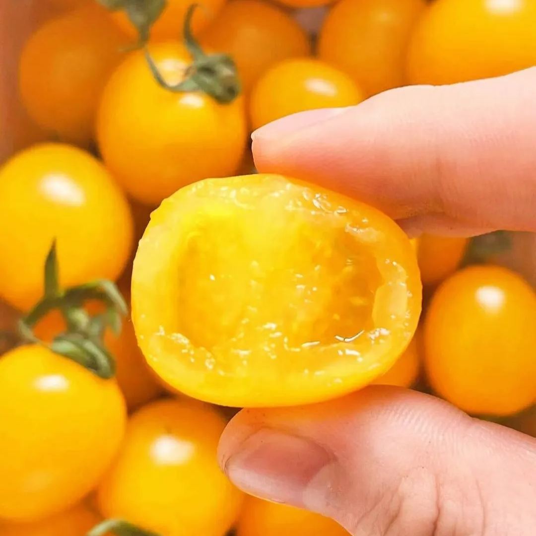 💥Hot Selling💛Yellow Cherry Tomato Seeds