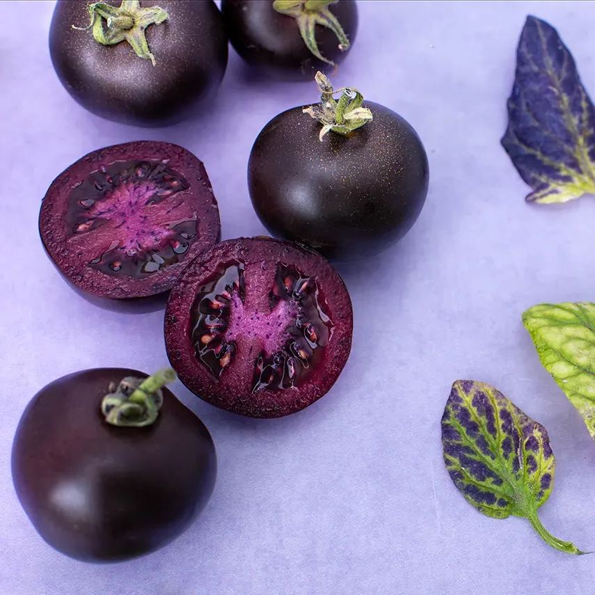 2024 Hot Sale🍅💜Purple Galaxy Tomato Seeds