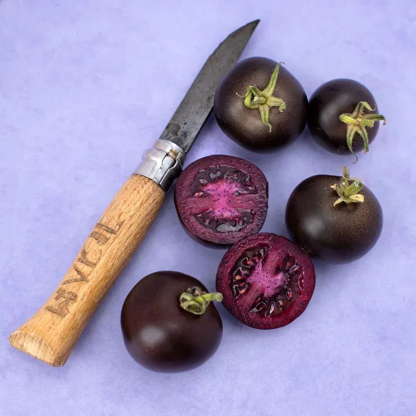 2024 Hot Sale🍅💜Purple Galaxy Tomato Seeds