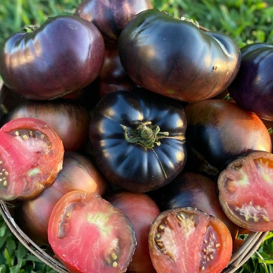 Black Beauty Tomato Seeds