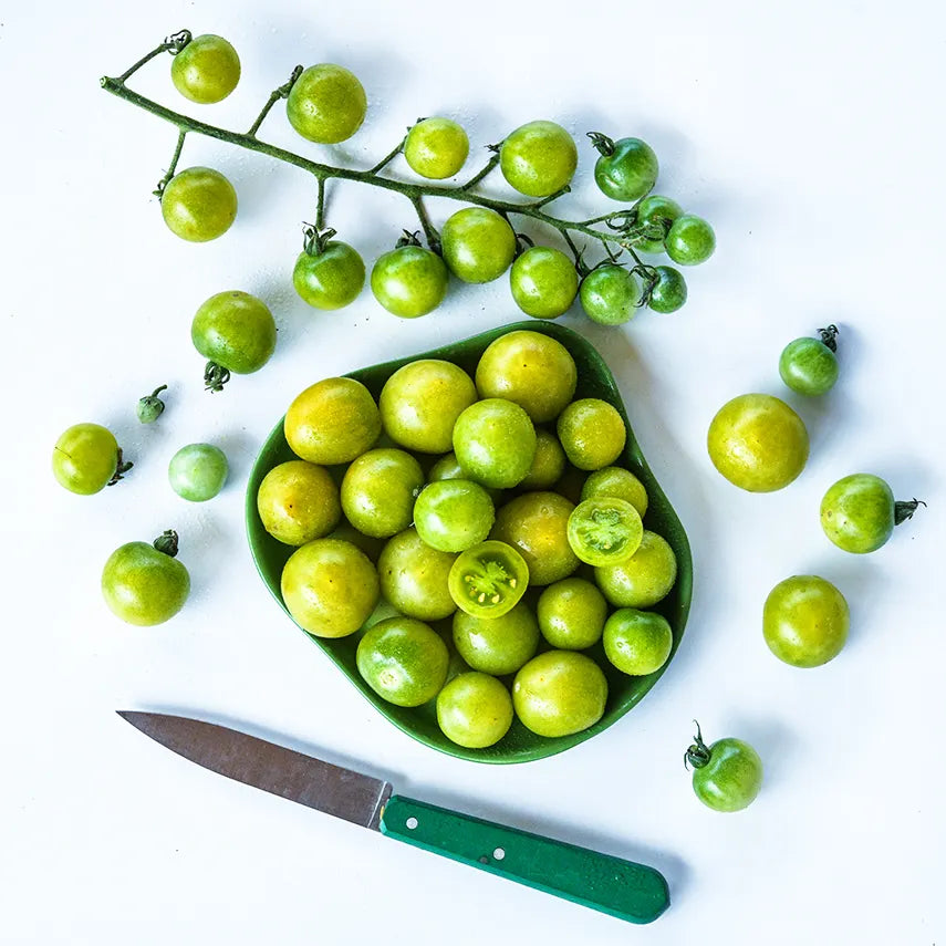 Green Doctors Tomato Seeds