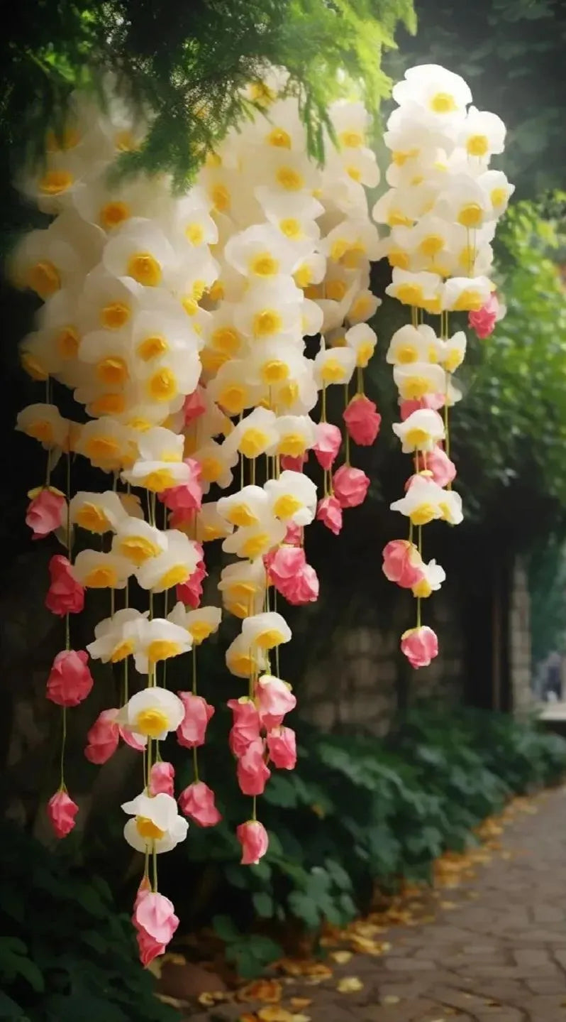 ✨Rare Breed-Draping Silk Begonia Seeds🌷