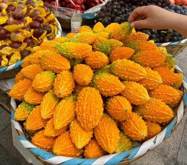 Lai Grape Seeds for Garden Bitter Gourd Seeds