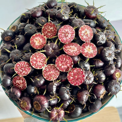 Red Berry Ginseng-Spider Fruit Seeds