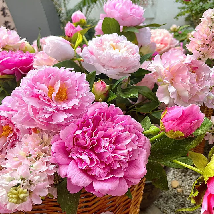 🌺The Queen of Flowers—Peony Flower