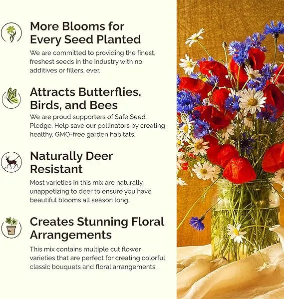 ✨Midwest Wildflower Seed Mix —— Low maintenance👨‍🌾