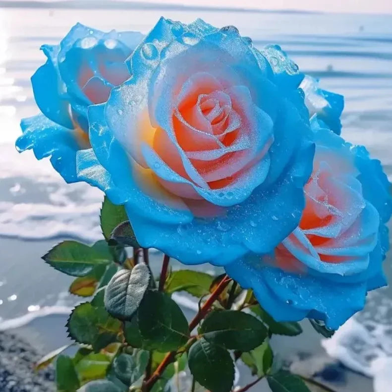 💙Blue Enchantress Rose Seeds✨