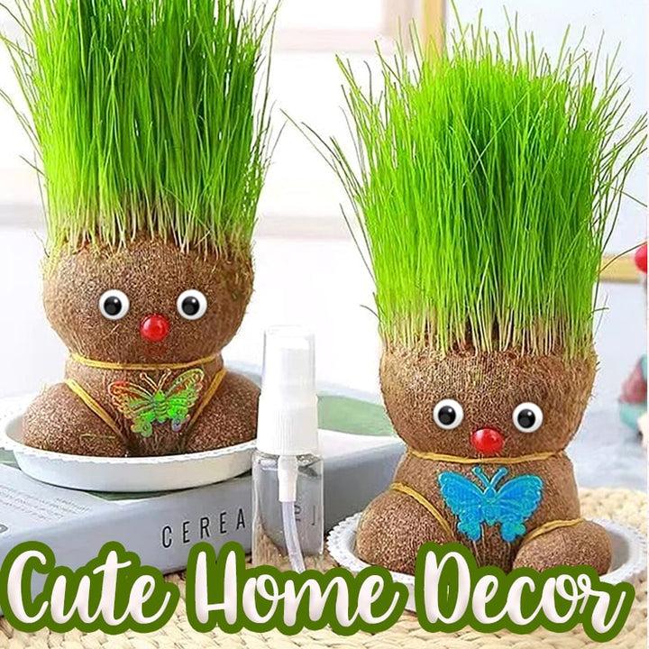 🌸【4 days germination】Last Day Sale - 50% OFF💐Grass Head Lucky Doll