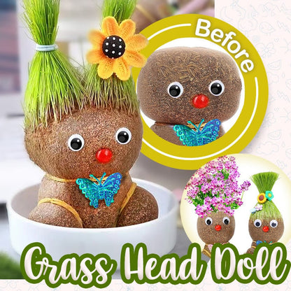 🌸【4 days germination】Last Day Sale - 50% OFF💐Grass Head Lucky Doll