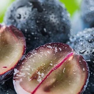 Jabuticaba-Plinia cauliflora-Tree Grape Seeds