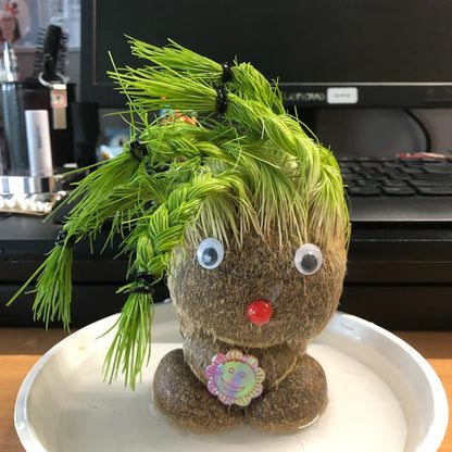 🌸【4 days germination】Last Day Sale - 50% OFF💐Grass Head Lucky Doll