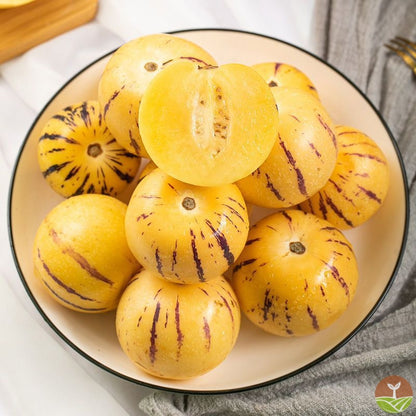 Pepino Melon 🥭Ginseng Fruit Seeds