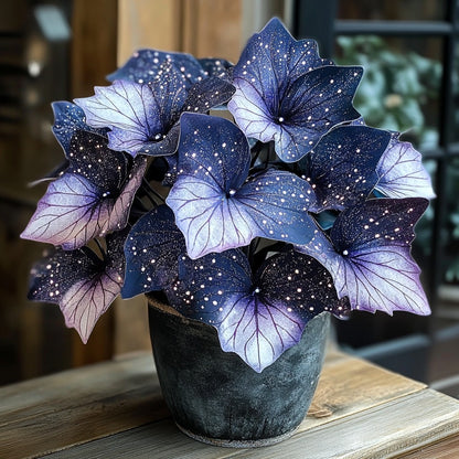 Moonlight Butterfly Begonia🦋