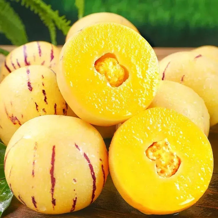 Pepino Melon 🥭Ginseng Fruit Seeds