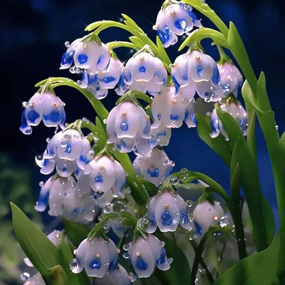 Lily of the Valley💐💑symbol of gratitude and eternal love