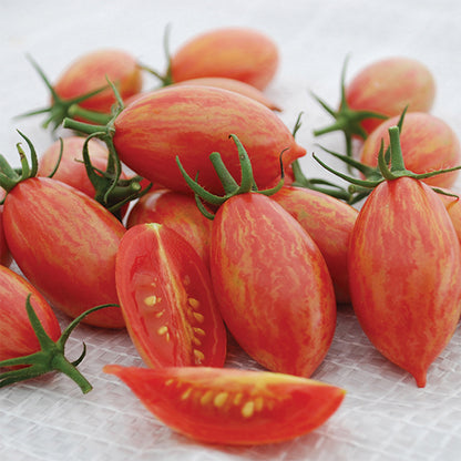 Pink Tiger Tomato Seeds