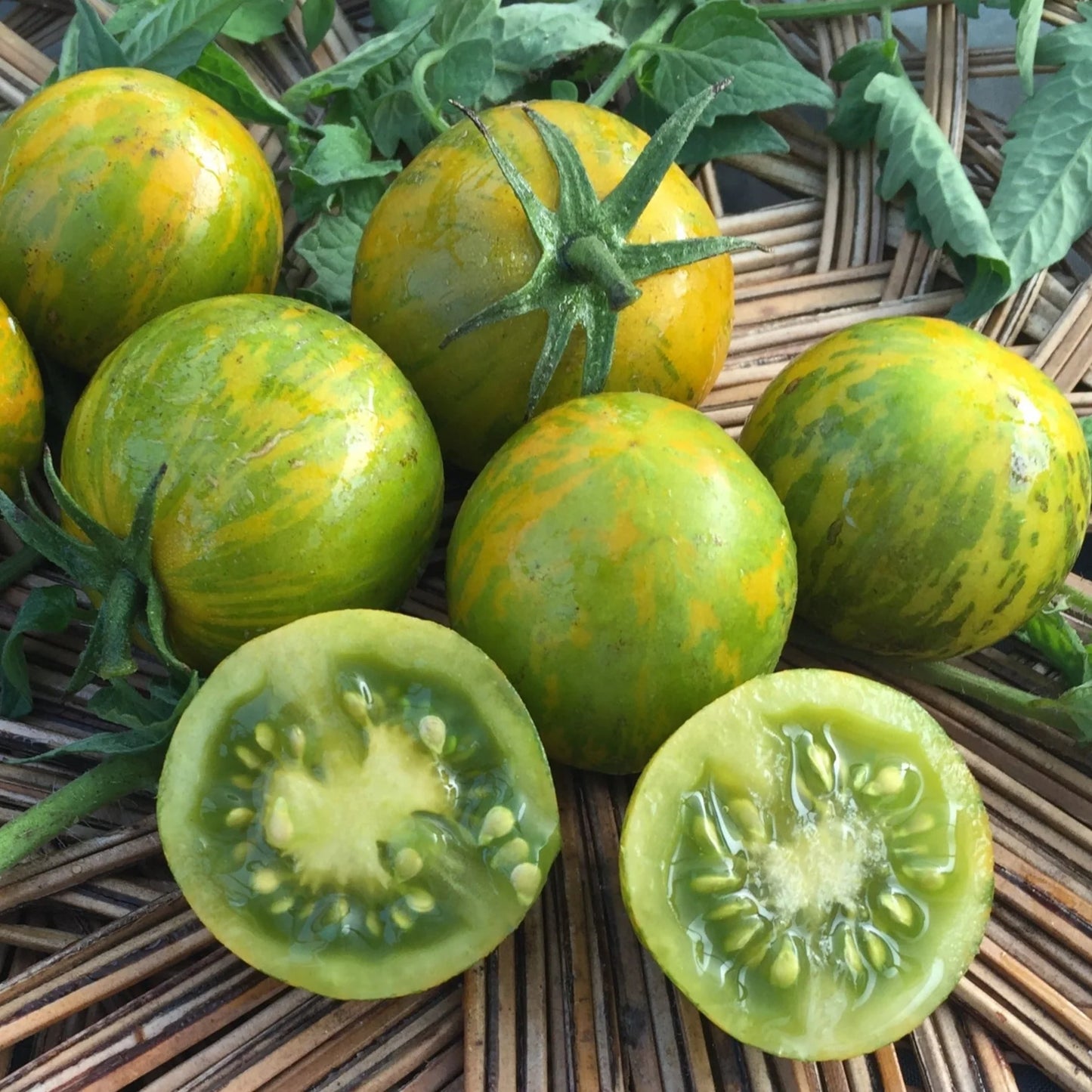 💚🍅Green Zebra Tomato Seeds