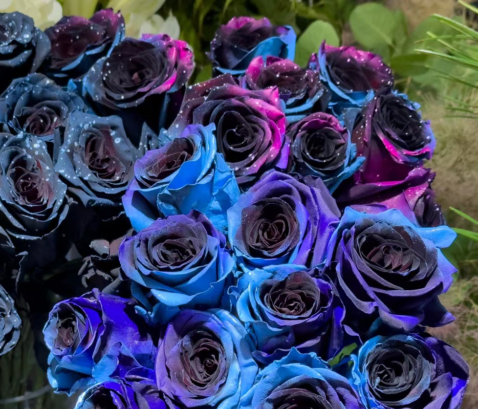 Starry Sky Roses