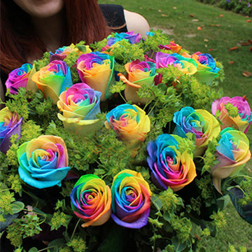 Rainbow Rose Seeds