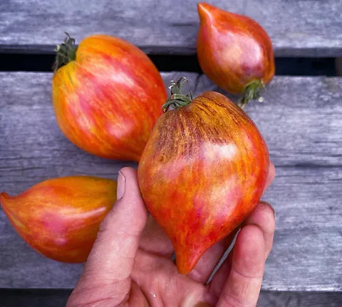 🍅❤️Crushed Heart Tomato Seeds