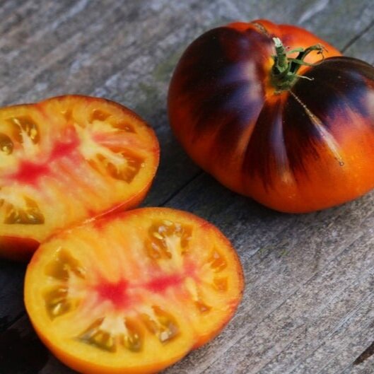 Lucid Gem Tomato Seeds