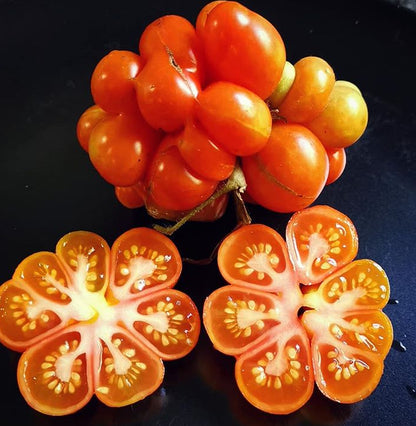 🔥🍅Tomato Reisetomate Seeds