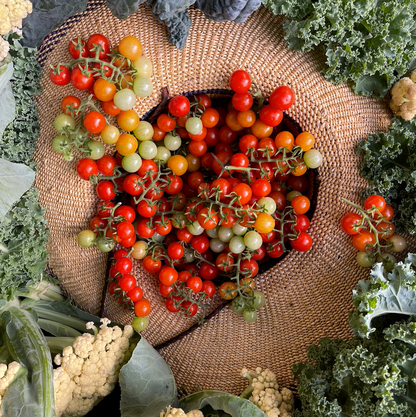 🥰✨Tidy Treats Tomato Seeds