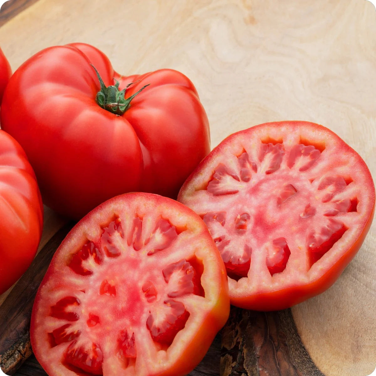 Classic Beefsteak Tomato Seeds