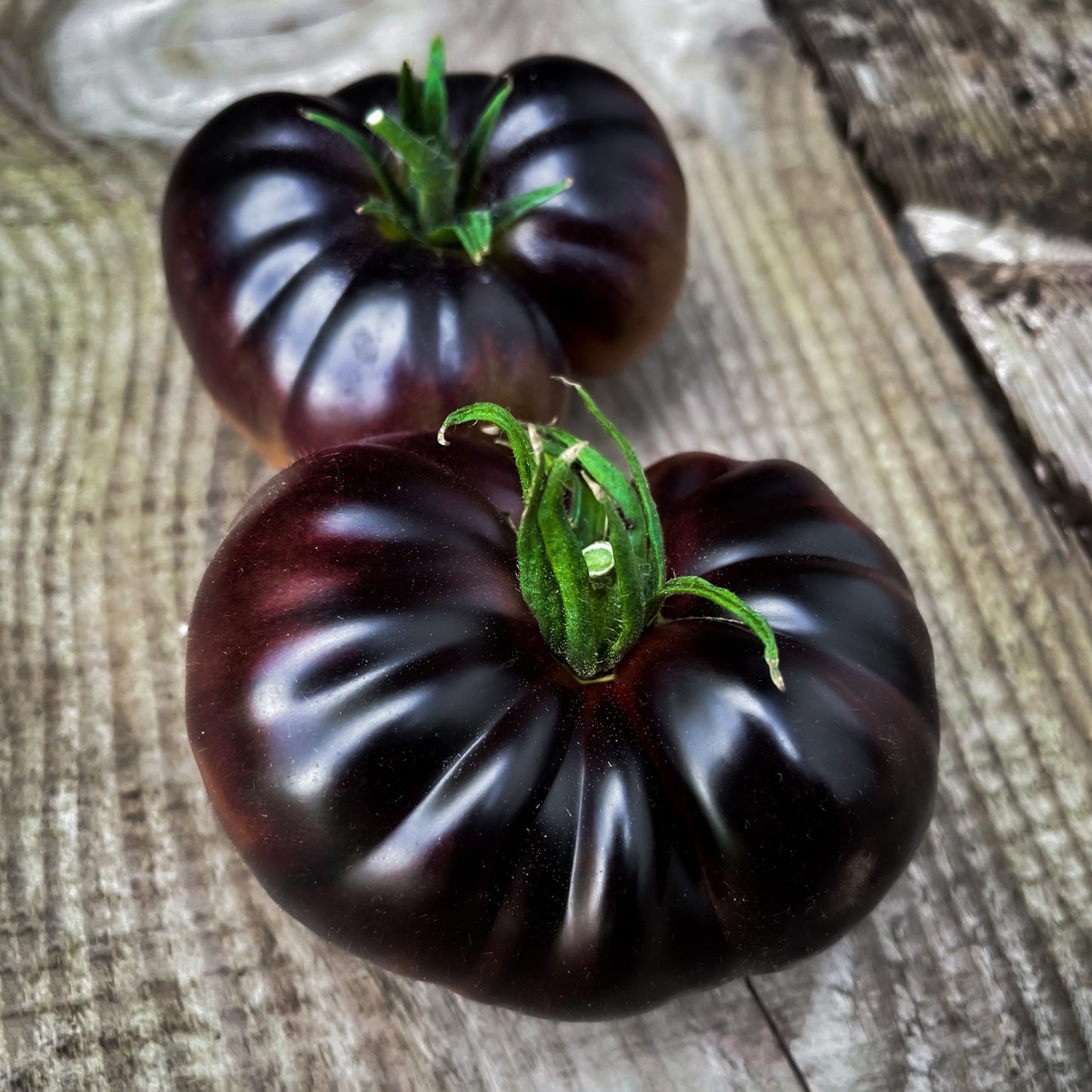 Black Beauty Tomato Seeds