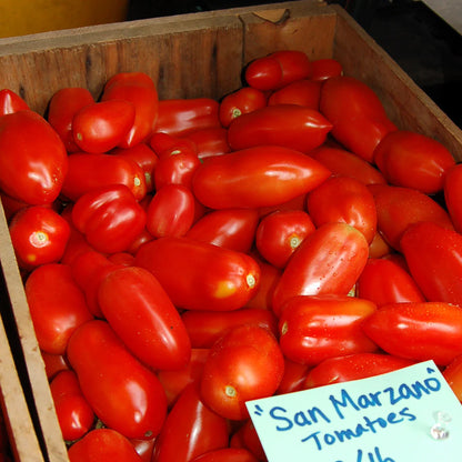 🍅💥San Marzano Tomato Seeds - A reference of Italian dishes