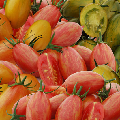 Pink Tiger Tomato Seeds