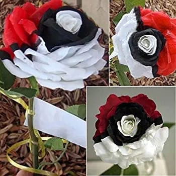 Pokémon rose - Rare red white black rose