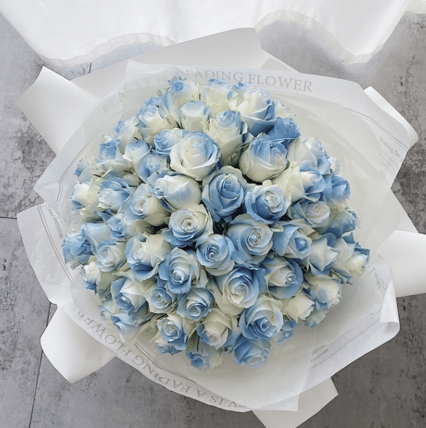 Michigan crushed ice blue and white rose bouquet Seeds