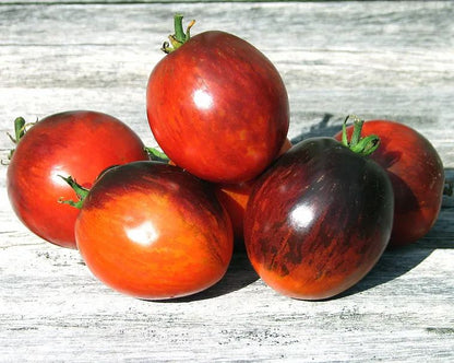 🔥💜Purple Dragon Tomato Seeds