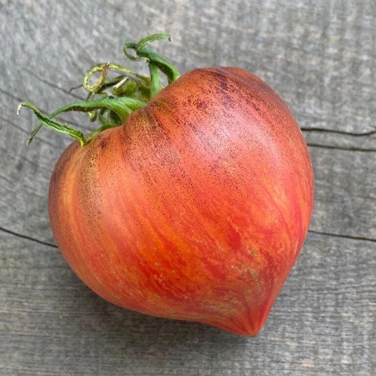 🍅❤️Crushed Heart Tomato Seeds