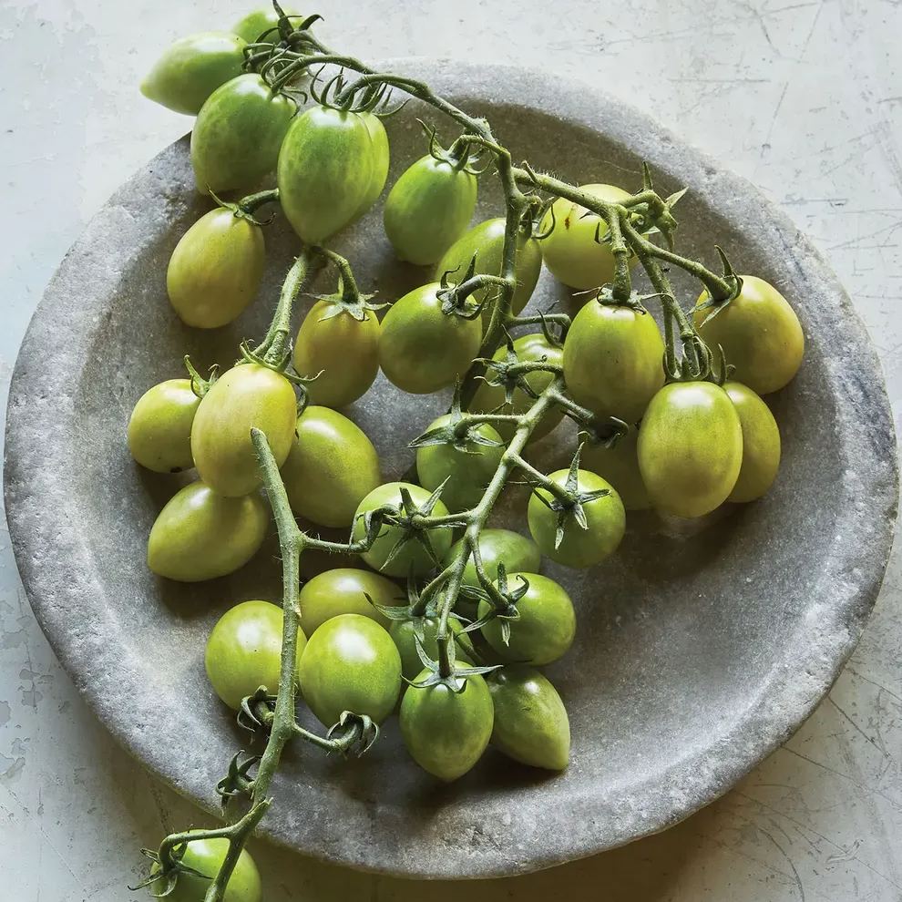 Green Envy Tomato Seeds