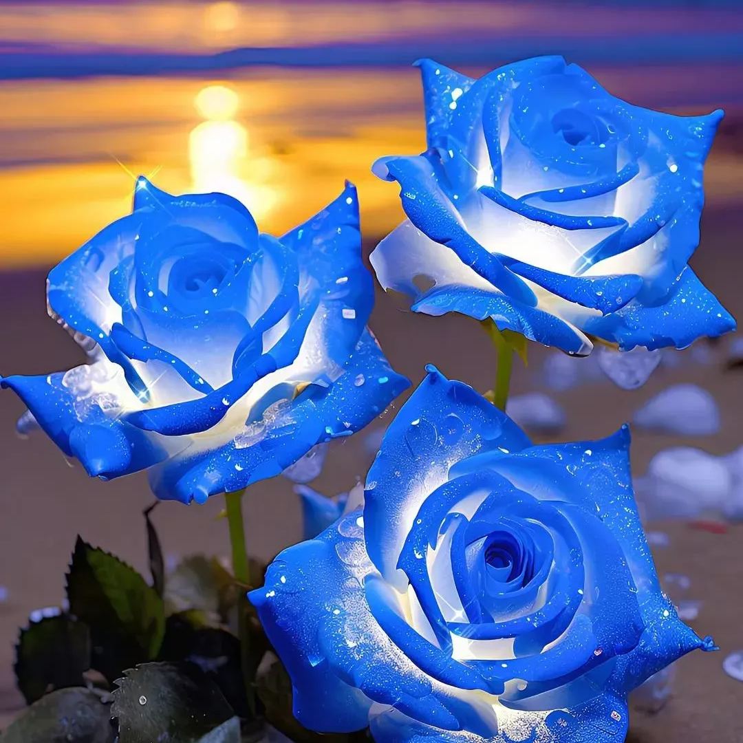 🪼Luminous Blue Frost Rose Seeds💡