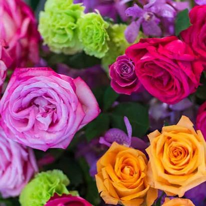 🔥56% OFF🌈Rainbow multi-color roses seeds🌹