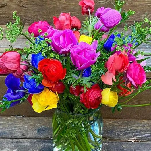 🔥56% OFF🌈Rainbow multi-color roses seeds🌹