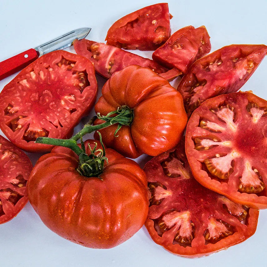 Classic Beefsteak Tomato Seeds